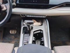 Lexus Xingrui 2021 2.0TD luxury - фото 12
