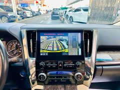 BYD Wilfa 2020 Shuangqing 2.5L Black Gold Limited Edition - фото 11