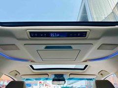 BYD Wilfa 2020 Shuangqing 2.5L Black Gold Limited Edition - фото 14