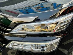 BYD Wilfa 2020 Shuangqing 2.5L Black Gold Limited Edition - фото 17