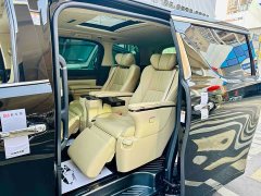 BYD Wilfa 2020 Shuangqing 2.5L Black Gold Limited Edition - фото 7