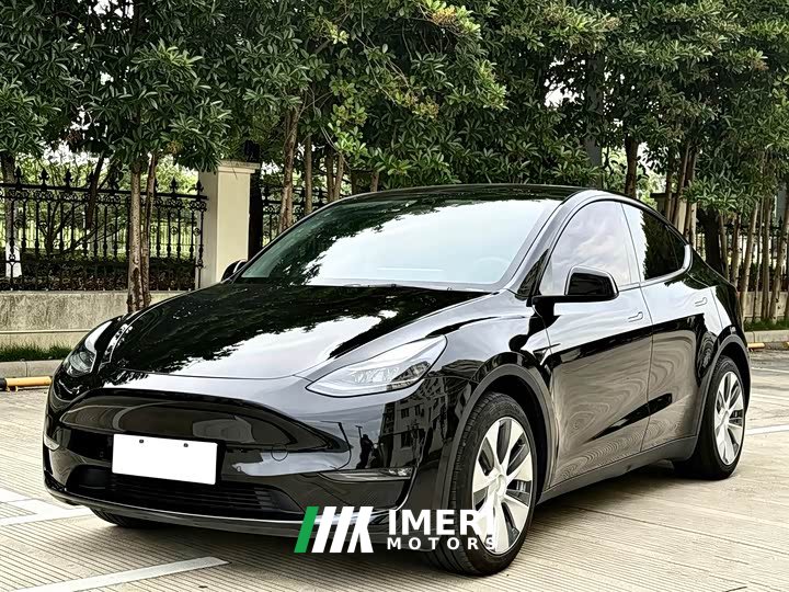 Tesla Model Y standard range rear-wheel drive version - автомобиль из Китая
