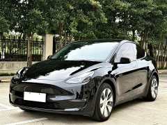 Tesla Model Y standard range rear-wheel drive version - фото 1