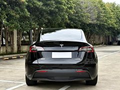 Tesla Model Y standard range rear-wheel drive version - фото 11