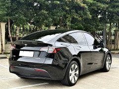 Tesla Model Y standard range rear-wheel drive version - фото 12