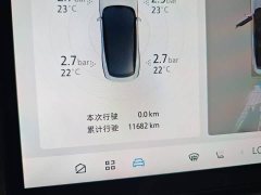 Lynk & Co JiFox Alpha S5 560MAX 185kW - фото 14