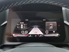 Haval Big Dog 1.5T DCT Border Collie Edition - фото 14