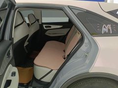 Lynk & Co Venucia Big V DD-i 2023 110km iE Edition - фото 11
