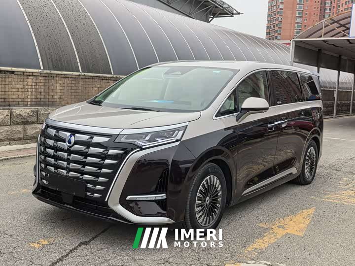 Denza D9 Pioneer Four-Seat Founder Edition - автомобиль из Китая