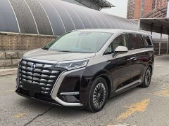 Denza D9 Pioneer Four-Seat Founder Edition - фото 1