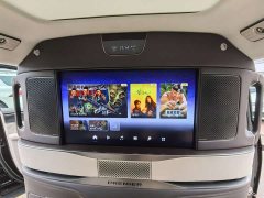 Denza D9 Pioneer Four-Seat Founder Edition - фото 13