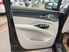 Denza D9 Pioneer Four-Seat Founder Edition - фото 16