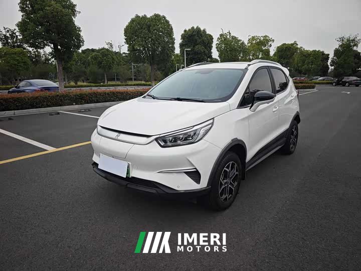 BYD Yuan Pro 2021 401KM Premium Edition - автомобиль из Китая