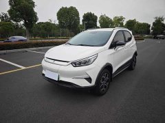 BYD Yuan Pro 2021 401KM Premium Edition - фото 1
