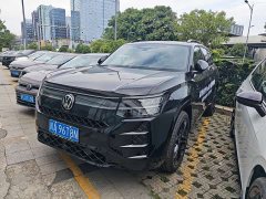 Volkswagen Teramont Pro 450TSI 4WD Peak Edition - фото 1