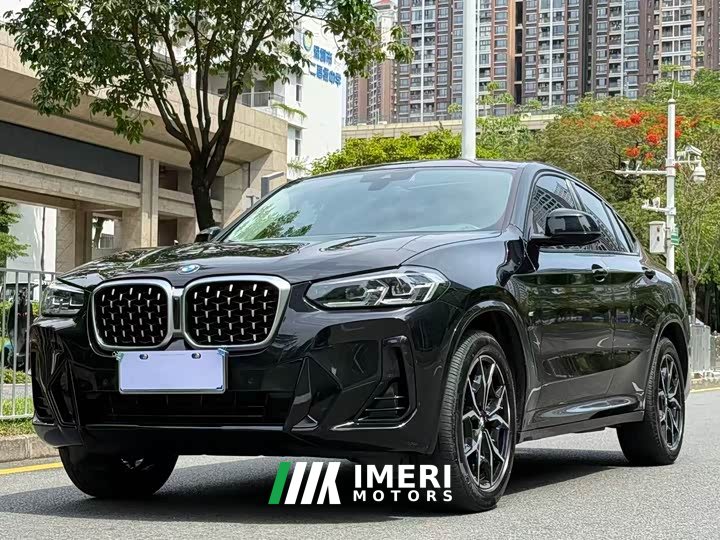 BMW X4 xDrive25i M Sport Package - автомобиль из Китая