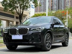 BMW X4 xDrive25i M Sport Package - фото 1