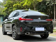 BMW X4 xDrive25i M Sport Package - фото 20