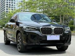 BMW X4 xDrive25i M Sport Package - фото 3