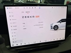 Zeekr 009 2024 6-Seater Executive AWD 108kWh - фото 11