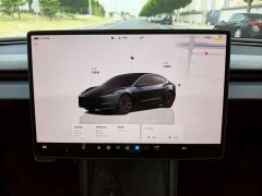 Tesla Model 3 rear-wheel drive version - фото 13
