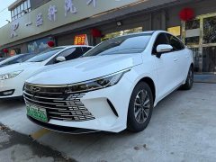 BYD Destroyer 05 2024 Honor Edition DM-i 55KM Premium Type - фото 1