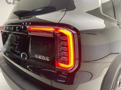 Haval Big Dog 1.5T DCT two-wheel drive Border Collie-Wangcai Edition - фото 10