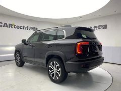 Haval Big Dog 1.5T DCT two-wheel drive Border Collie-Wangcai Edition - фото 7