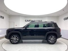 Haval Big Dog 1.5T DCT two-wheel drive Border Collie-Wangcai Edition - фото 8