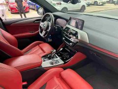 BMW X4 M 2019 X4 M Thunder Edition - фото 8