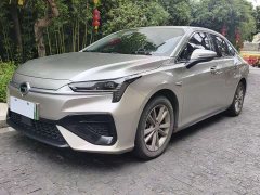 AION S Mei 580 Pio - фото 1