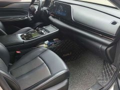 AION S Mei 580 Pio - фото 13