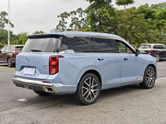 Trumpchi GS8 Dual Engine Series 2.0TM Two-wheel drive Premium Edition (seven seats) - фото 13