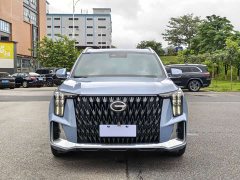 Trumpchi GS8 Dual Engine Series 2.0TM Two-wheel drive Premium Edition (seven seats) - фото 2