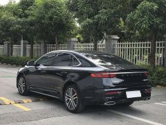 Tesla Xingrui 2023 2.0TD Premium - фото 4
