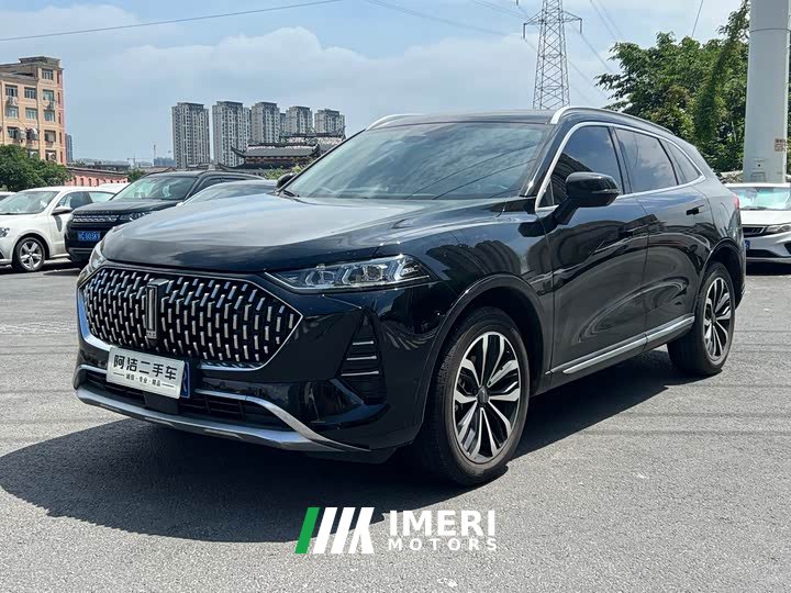 Lynk & Co Wei brand Mocha 2.0T two-wheel drive special edition - автомобиль из Китая