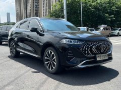 Lynk & Co Wei brand Mocha 2.0T two-wheel drive special edition - фото 3