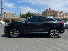 Lynk & Co Wei brand Mocha 2.0T two-wheel drive special edition - фото 4