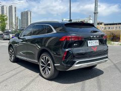 Lynk & Co Wei brand Mocha 2.0T two-wheel drive special edition - фото 5