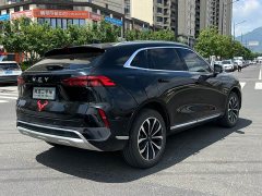 Lynk & Co Wei brand Mocha 2.0T two-wheel drive special edition - фото 7