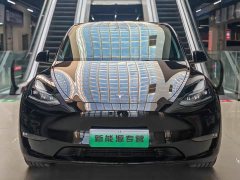 Tesla Model Y 2022 facelift, long-range all-wheel drive version - фото 1