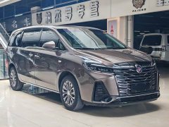 Buick GL8 Land Business Class 652T Luxury - фото 3