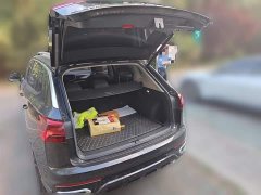 Lexus Tanyue PHEV 1.4T luxury - фото 20
