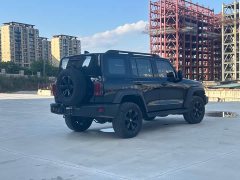 Tank 300 Off-Road Version 2.0T Conqueror - фото 15