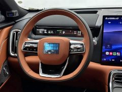 Geely Galaxy M9 230km 2WD Exploration Edition - фото 9