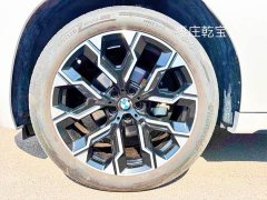 BMW X3 xDrive30L Leading Type M Sports Package - фото 7
