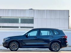 BMW X5 xDrive40Li M Sport Night Package - фото 3
