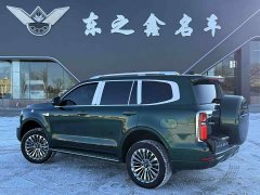 Tank 500 New Energy 2026 Hi4-Z Smart Edition - фото 6