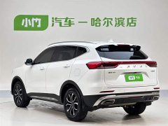 Haval H6 2021 Guochao Edition 1.5T Automatic Urban Edition - фото 4