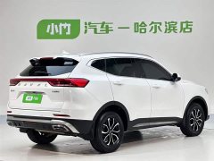 Haval H6 2021 Guochao Edition 1.5T Automatic Urban Edition - фото 6